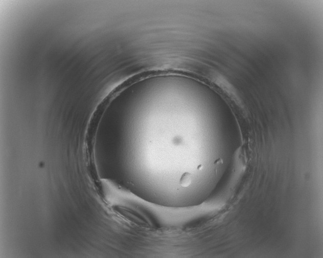 X0000067470876200604142348