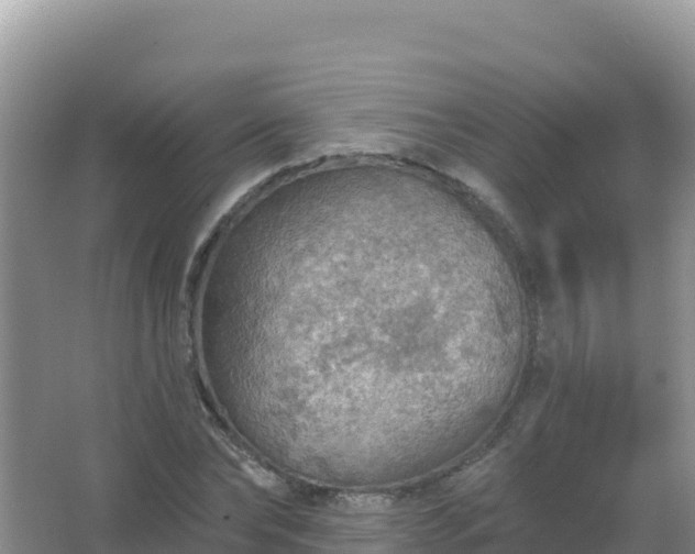 X0000067470878200604142347