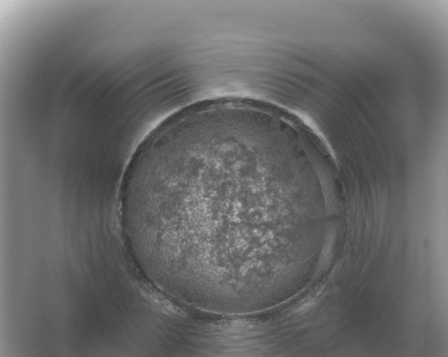 X0000067470879200604142347