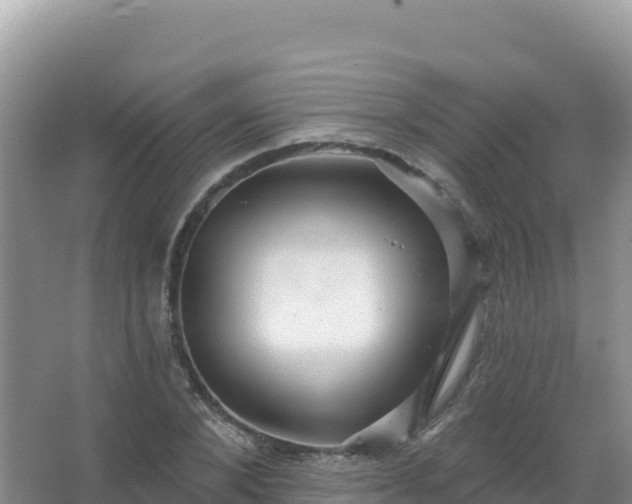 X0000067470880200604142347