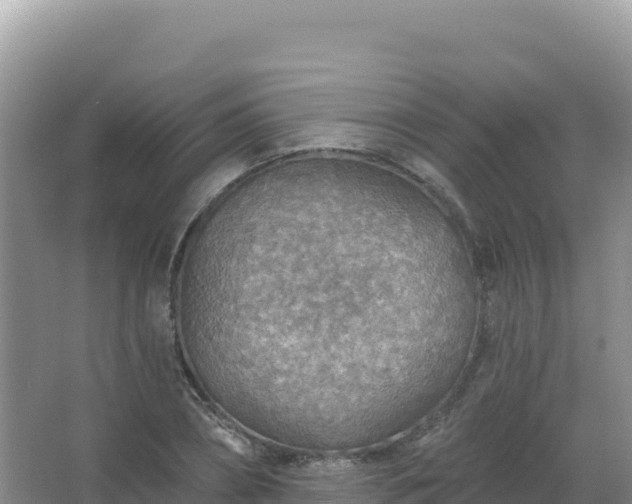 X0000067470882200604142347