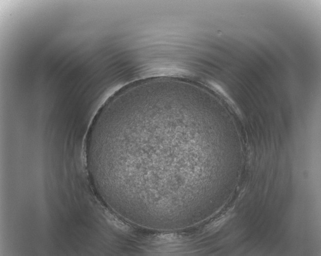 X0000067470883200604142347