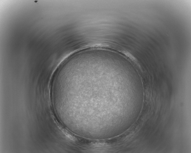 X0000067470886200604142347