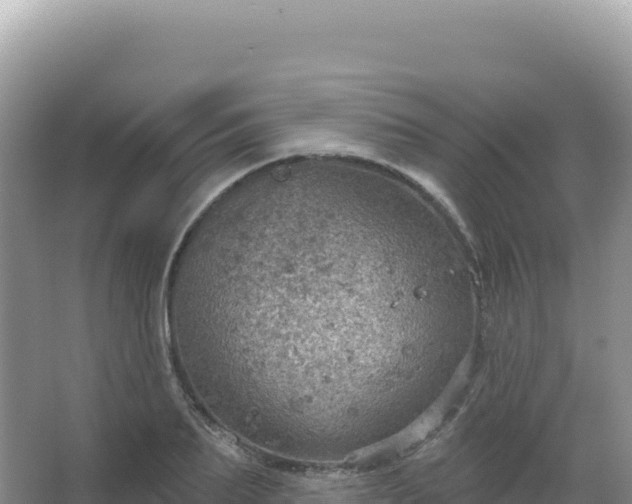 X0000067470887200604142347