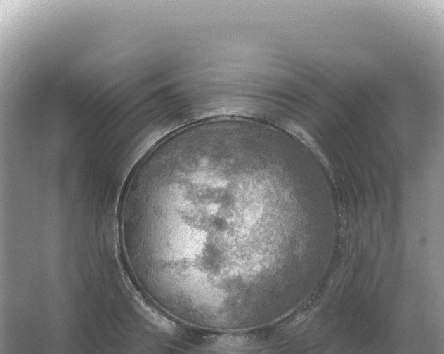 X0000067470890200604142347