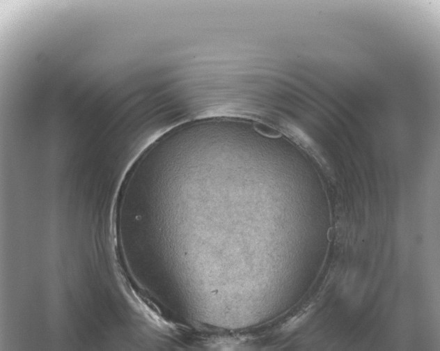 X0000067470892200604142347