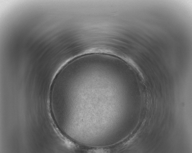 X0000067470896200604142347