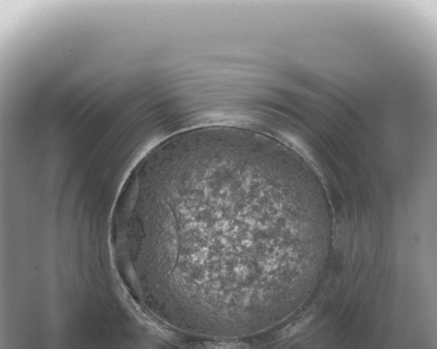 X0000067470899200604142347