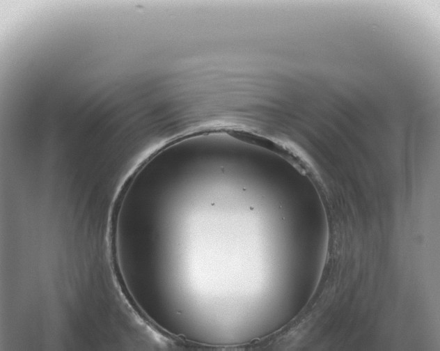 X0000067470902200604142347