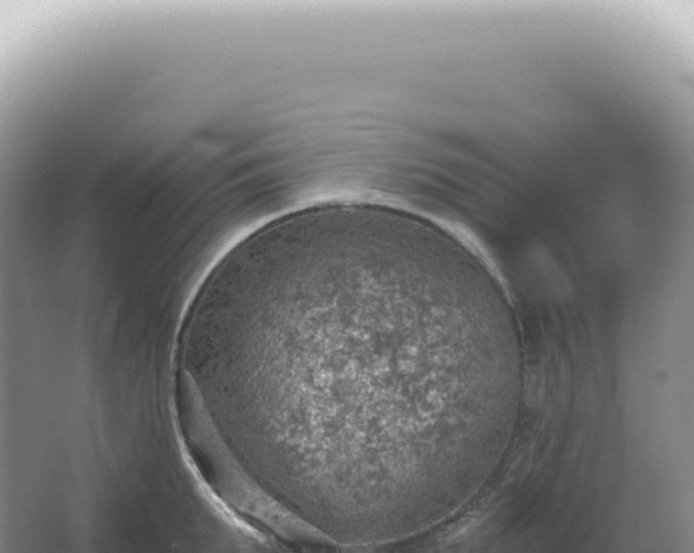 X0000067470903200604142347