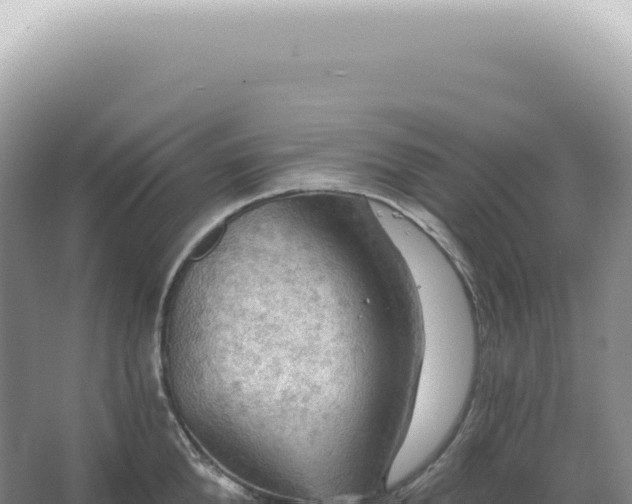 X0000067470904200604142347