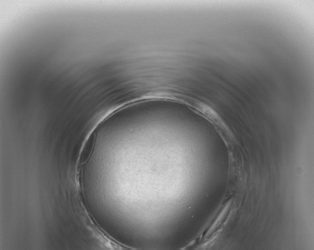 X0000067470908200604142347