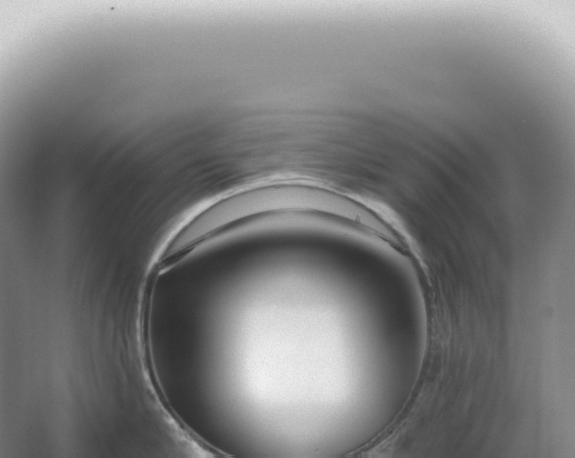 X0000067470910200604142347