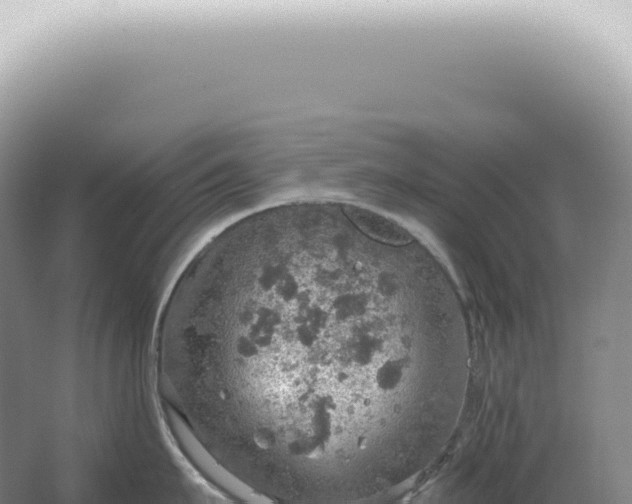 X0000067470911200604142347