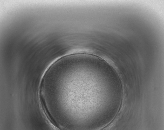 X0000067470912200604142347