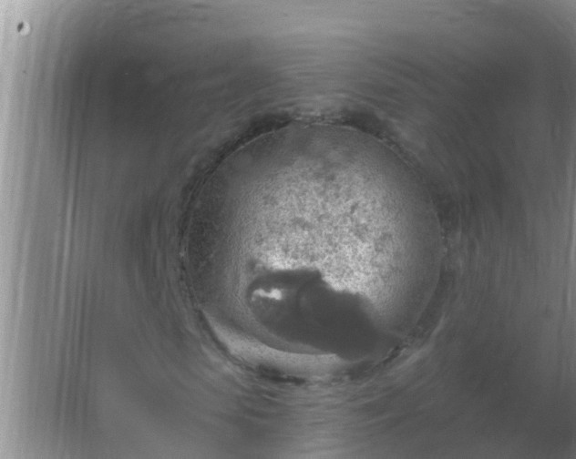 X0000067470913200604142346