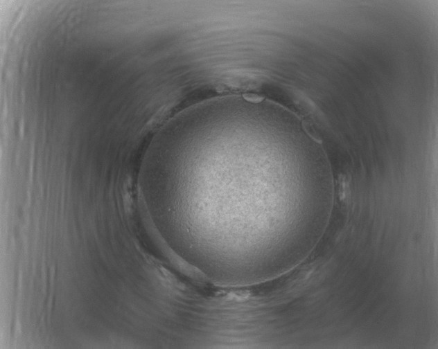 X0000067470915200604142346