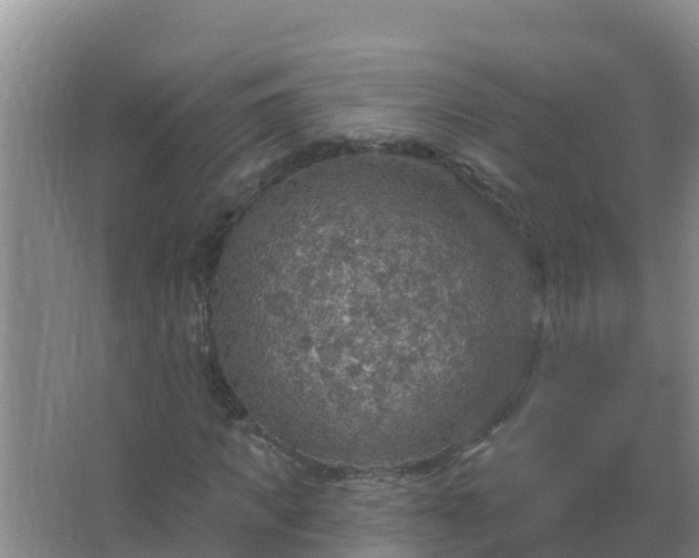 X0000067470917200604142346