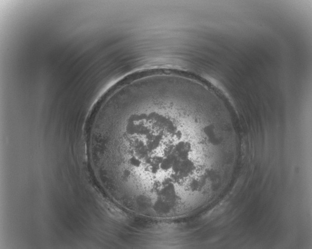 X0000067470925200604142346