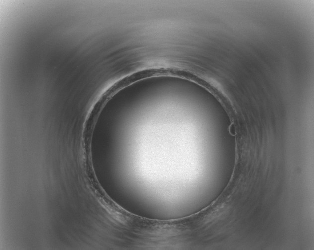 X0000067470927200604142346