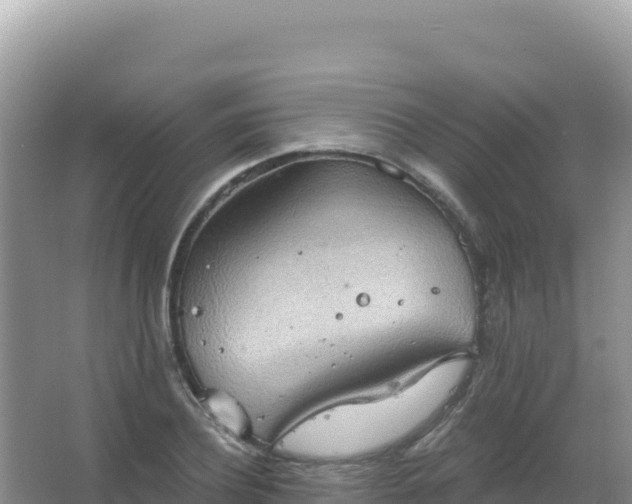 X0000067470932200604142346