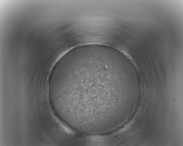 X0000067470933200604142346