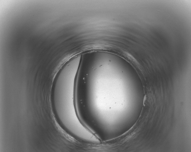 X0000067470938200604142347