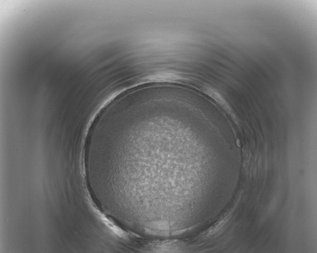 X0000067470939200604142347