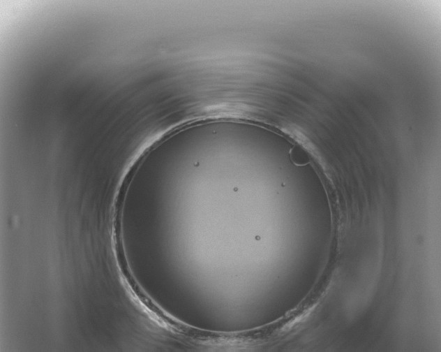 X0000067470941200604142347