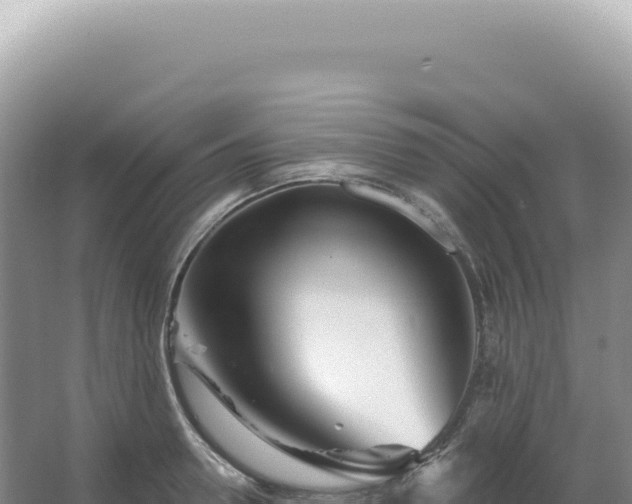 X0000067470946200604142347