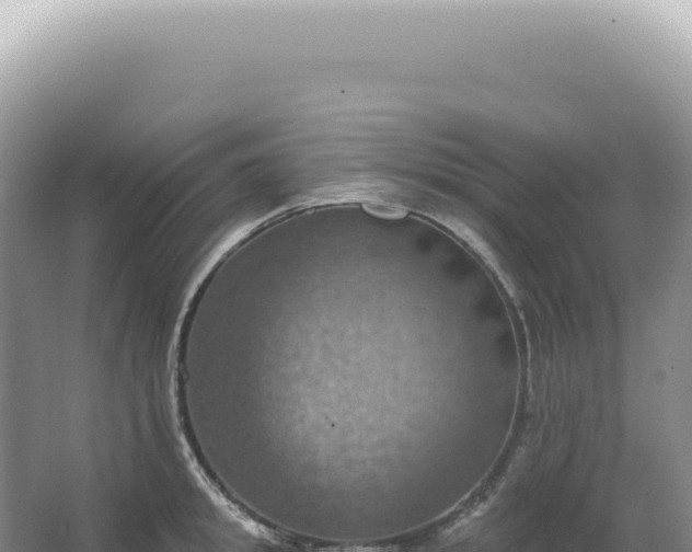 X0000067470949200604142347