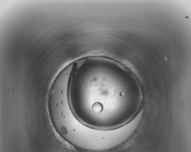 X0000067470950200604142347