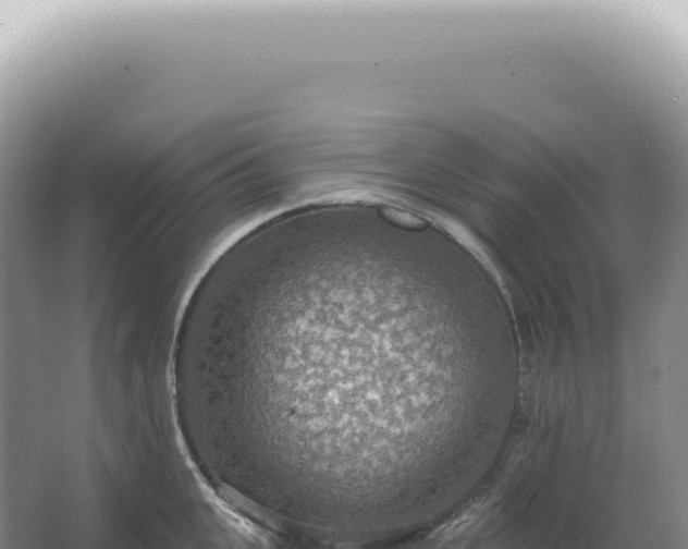 X0000067470951200604142347