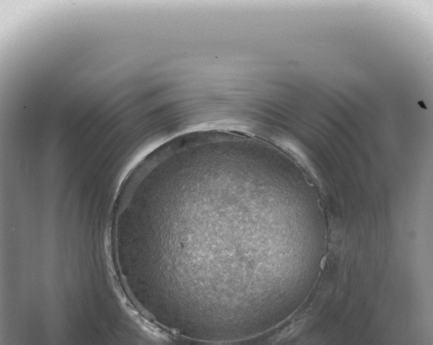 X0000067470952200604142347