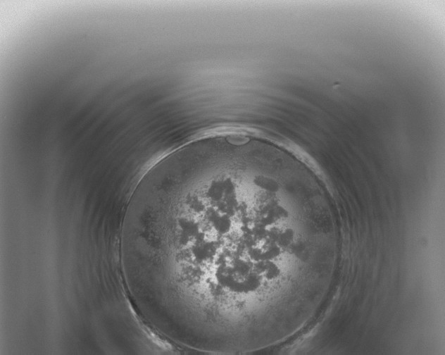 X0000067470953200604142347