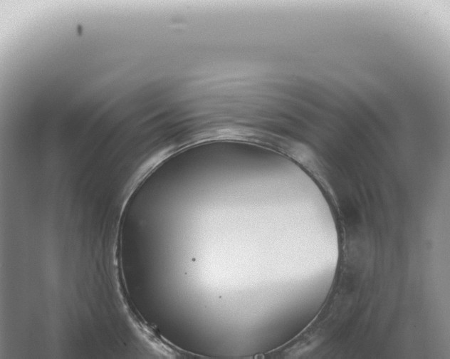 X0000067470954200604142347