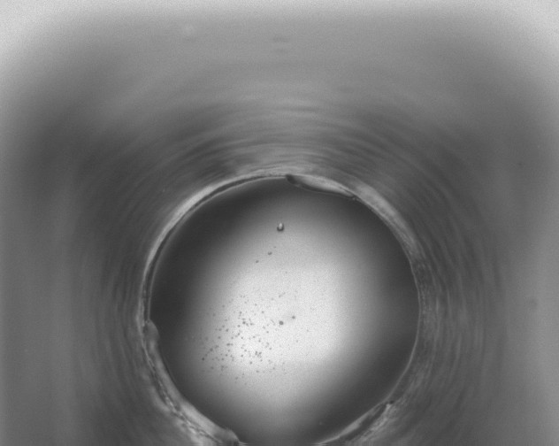 X0000067470956200604142347