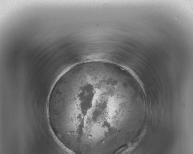 X0000067470957200604142347