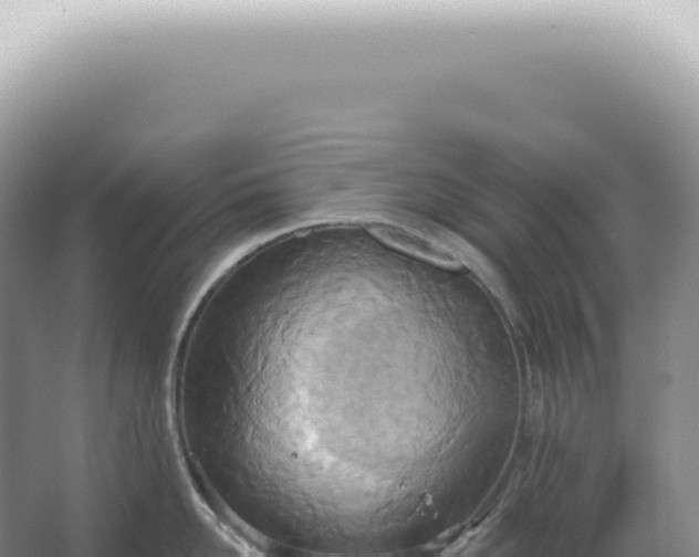 X0000067470958200604142347