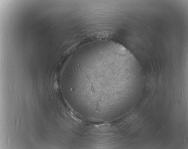 X0000067470962200604142346