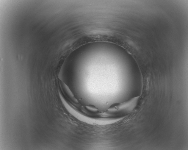 X0000067470965200604142346