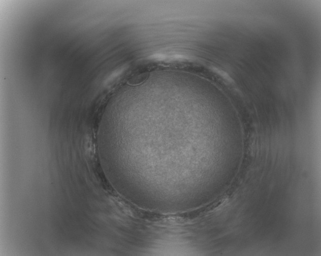 X0000067470966200604142346