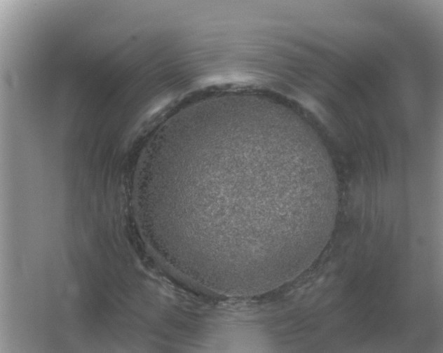 X0000067470967200604142346