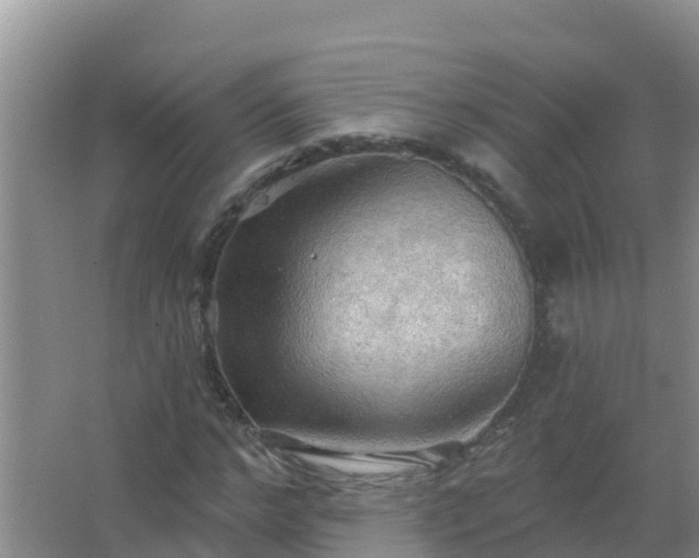 X0000067470968200604142346