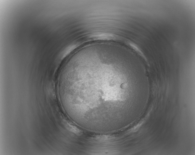 X0000067470970200604142346