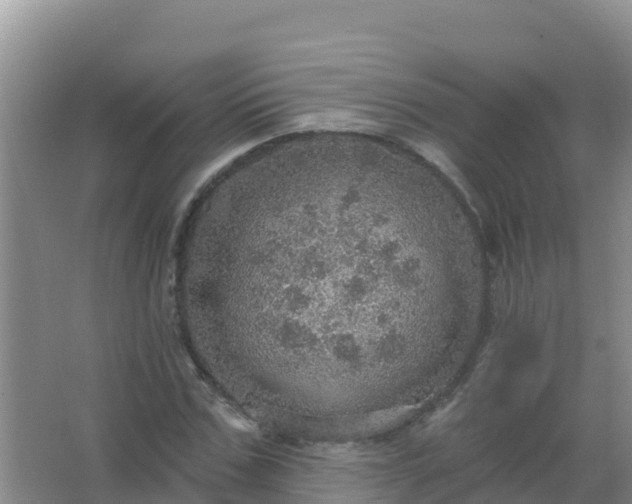 X0000067470971200604142346