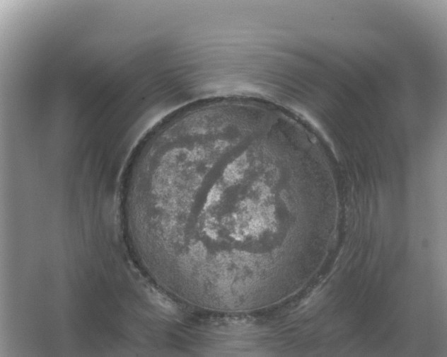 X0000067470975200604142346