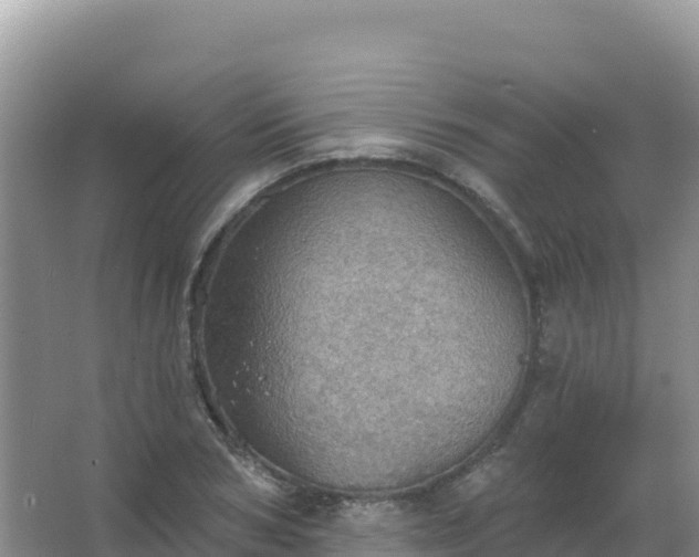 X0000067470978200604142346