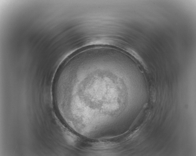 X0000067470980200604142346