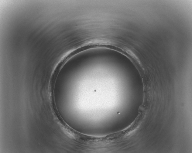 X0000067470981200604142346